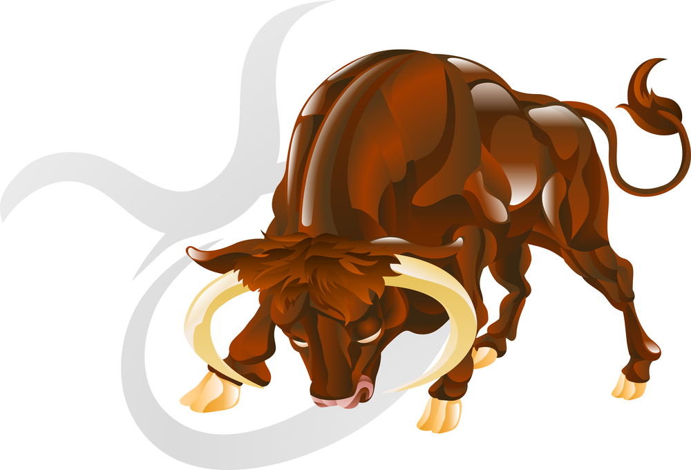 Raging Bull or Contented Cow?